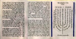 ketoretwithbluewholemedium