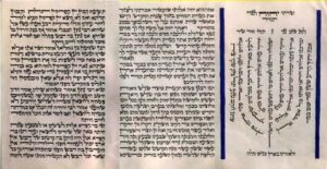 ketoretwithbluewholesmall